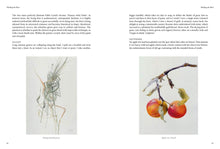 Load image into Gallery viewer, Thinking the Plant - The Watercolour Drawings of Rebecca John
