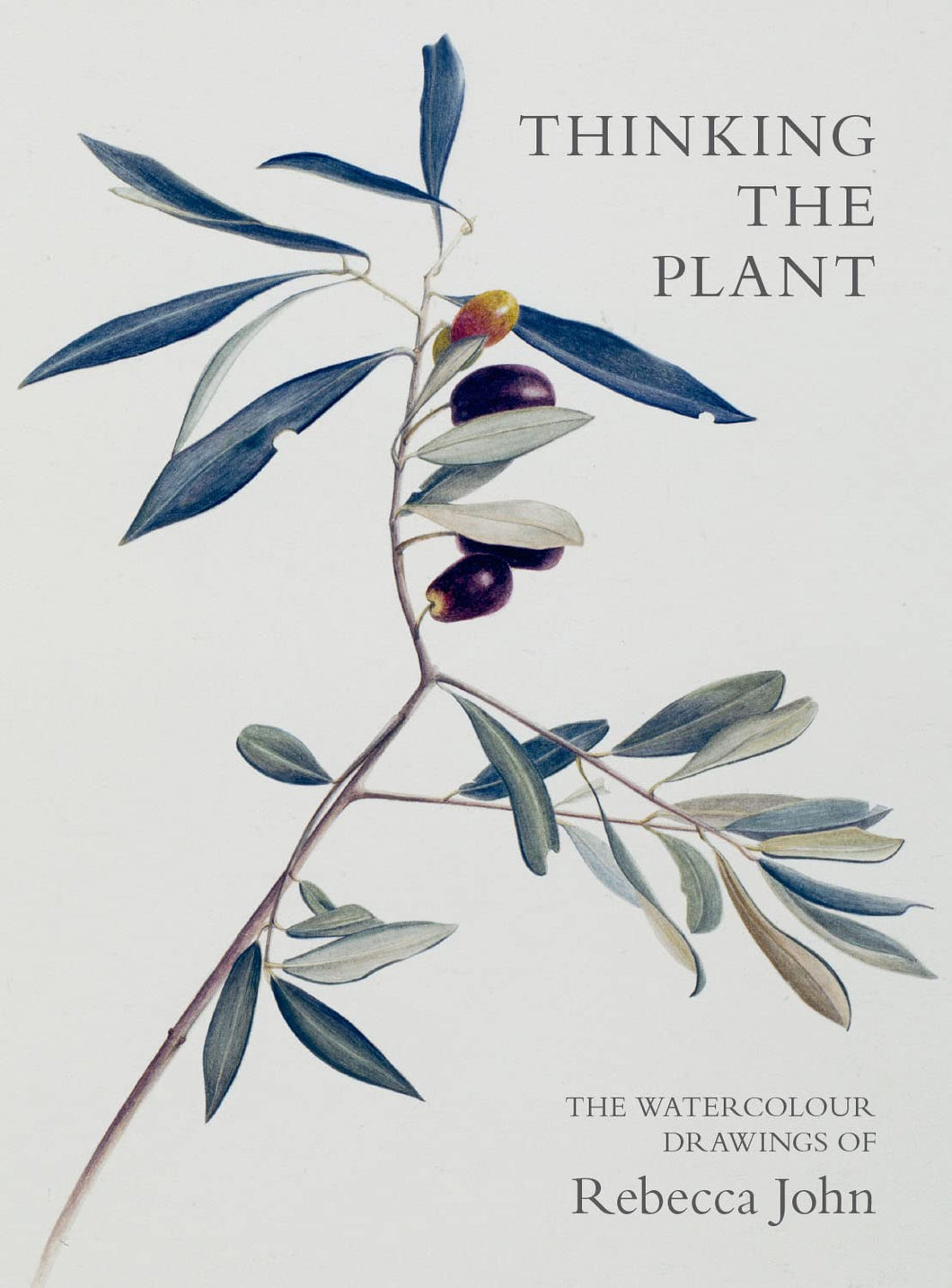 Thinking the Plant - The Watercolour Drawings of Rebecca John