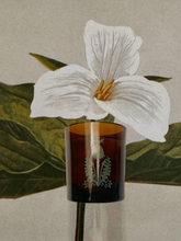 Load image into Gallery viewer, 426 - CANDLE,                            The scent of our store.
