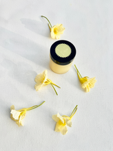 Load image into Gallery viewer, Botanical Rescue Balm - Limited supply
