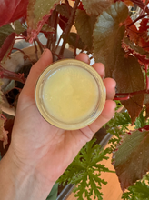 Load image into Gallery viewer, Botanical Rescue Balm - Limited supply
