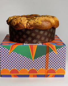 Apricot Panettone