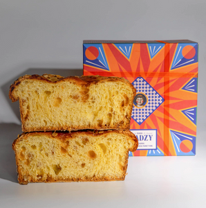 Apricot Panettone