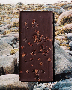 Cacao Nibs