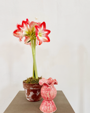 Load image into Gallery viewer, Handmade Ceramic Vase - Red
