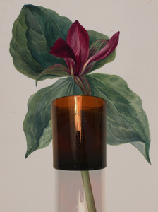 MOODY BLOOMS CANDLE