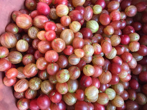 Pink Gooseberry & Elderflower Jam