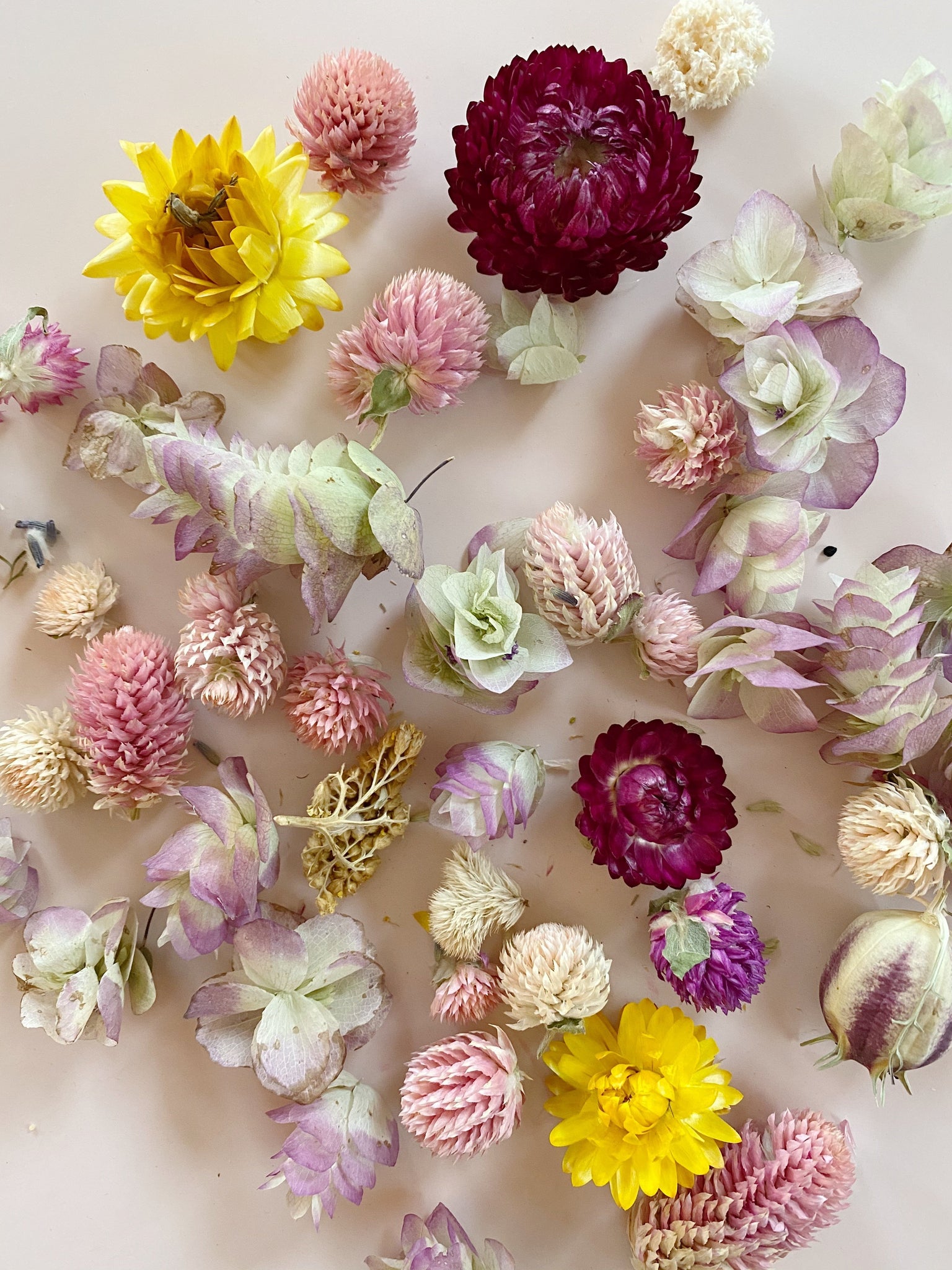Dried Flower Confetti – thequietbotanist
